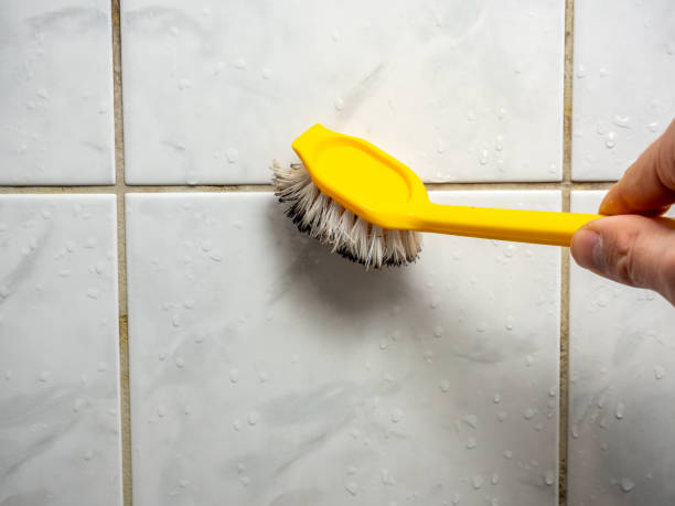 Best Water Damage Restoration  in Rockmart, GA