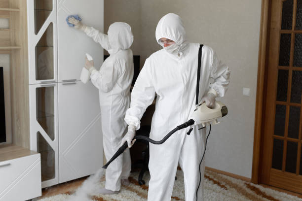 Mold Removal Process in Rockmart, GA