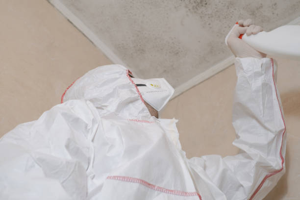 Best Crawl Space Mold Removal  in Rockmart, GA